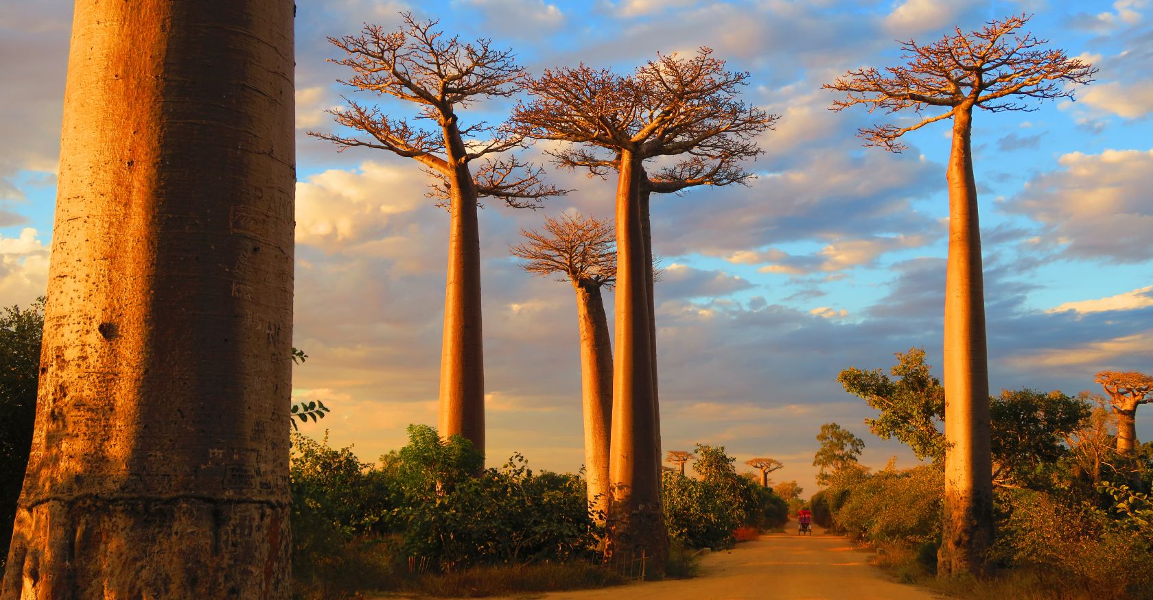 Madagascar